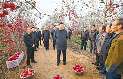 習(xí)近平在陜西延安和河南安陽考察時強調(diào) 全面推進(jìn)鄉(xiāng)村振興 為實現(xiàn)農(nóng)業(yè)農(nóng)村現(xiàn)代化而不懈奮斗 丁薛祥陪同考察